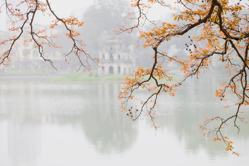 Subdued Talks